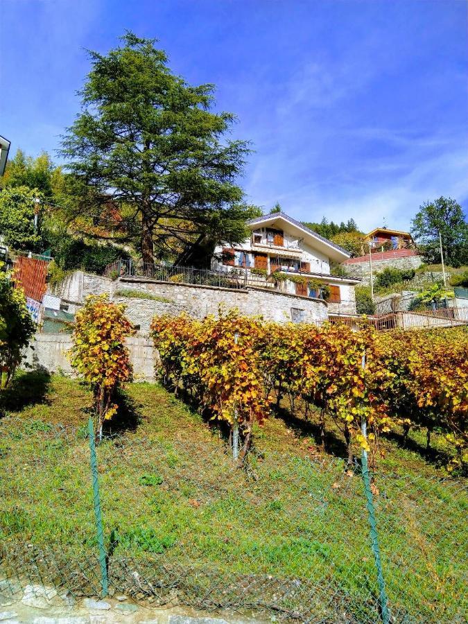 Appartamenti Bioula Cir Aosta N 0247 Eksteriør bilde